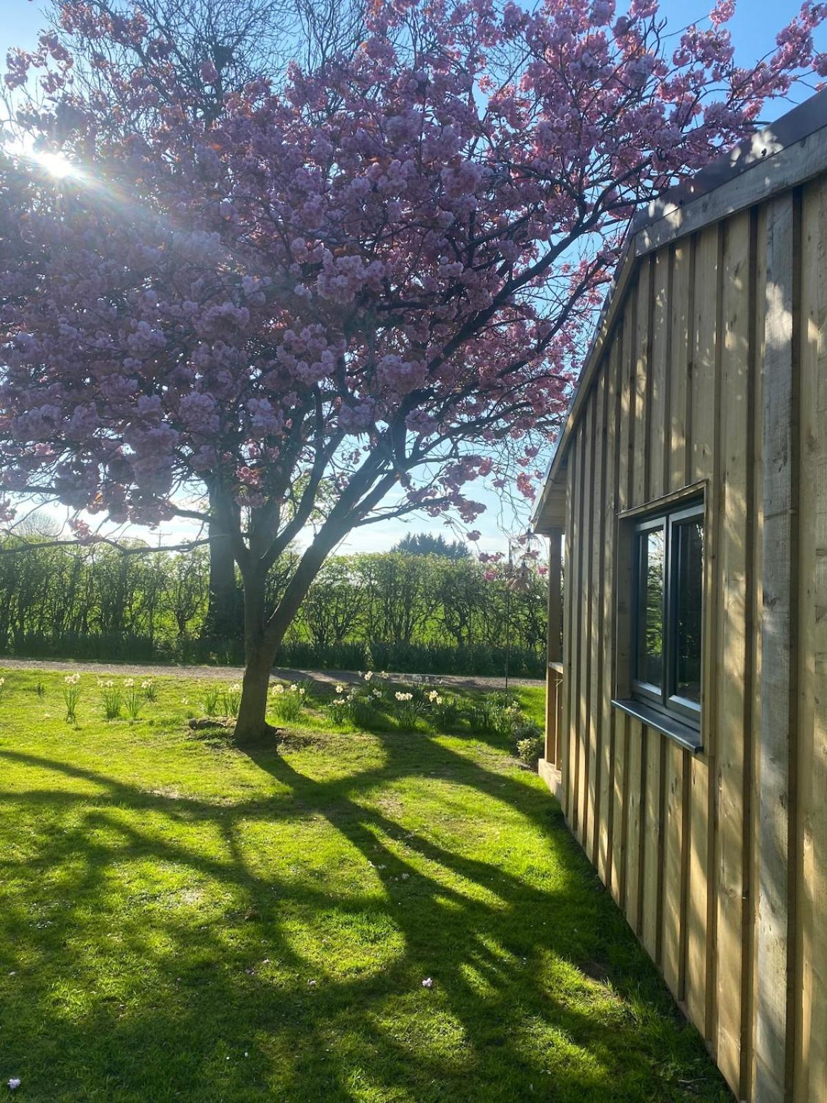 Meadows Lodge York Buitenkant foto